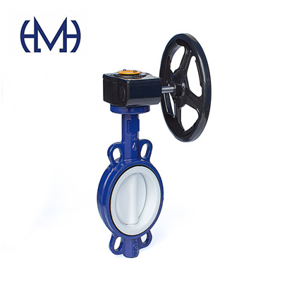 Full lined fluorine butterfly valve for any corrosive media
