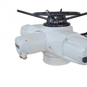 Inteligent Linear Electric Actuator